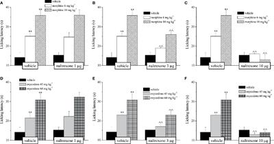 Intranasal Low-Dose Naltrexone Against Opioid Side Effects: A Preclinical Study